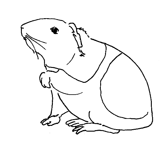 rajz 1